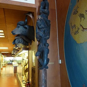 Musée napoléonien et musée africain annexes du musée national des châteaux de Malmaison et de Bois Préau