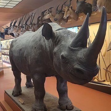 Musée napoléonien et musée africain annexes du musée national des châteaux de Malmaison et de Bois Préau