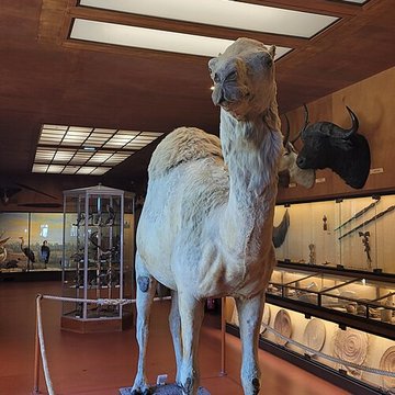 Musée napoléonien et musée africain annexes du musée national des châteaux de Malmaison et de Bois Préau