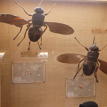 Musée napoléonien et musée africain annexes du musée national des châteaux de Malmaison et de Bois Préau