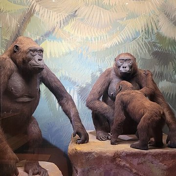 Musée napoléonien et musée africain annexes du musée national des châteaux de Malmaison et de Bois Préau