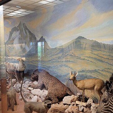 Musée napoléonien et musée africain annexes du musée national des châteaux de Malmaison et de Bois Préau