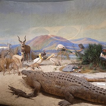 Musée napoléonien et musée africain annexes du musée national des châteaux de Malmaison et de Bois Préau