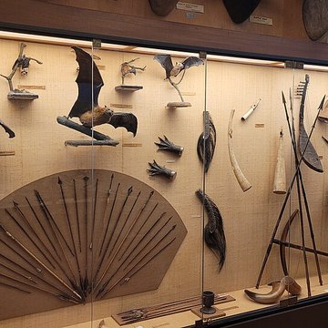 Musée napoléonien et musée africain annexes du musée national des châteaux de Malmaison et de Bois Préau