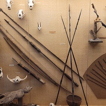 Musée napoléonien et musée africain annexes du musée national des châteaux de Malmaison et de Bois Préau