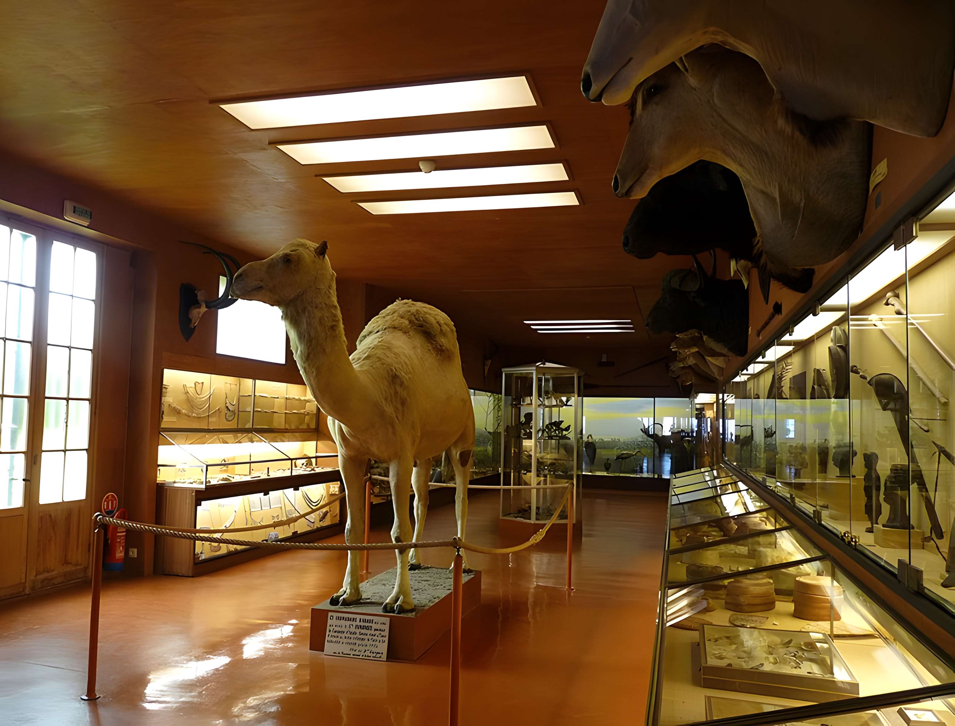 Musée napoléonien et musée africain (annexes du musée national des châteaux de Malmaison et de Bois Préau)