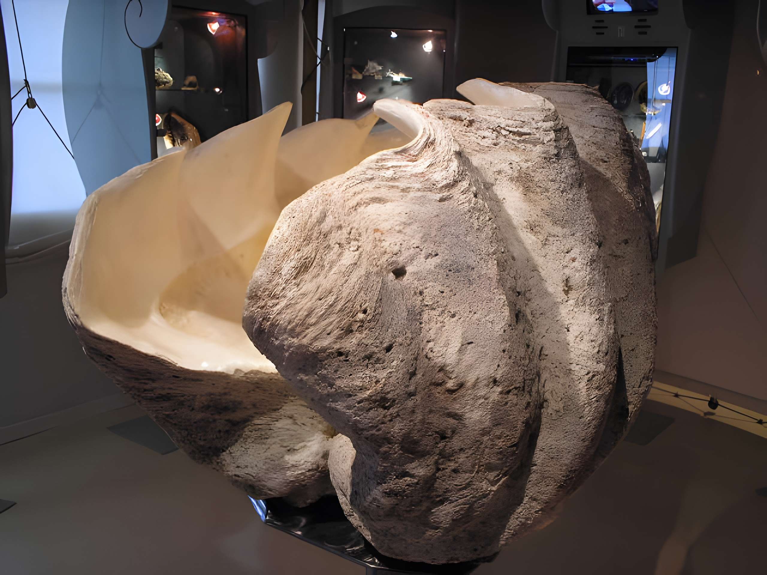 Musée napoléonien et musée africain (annexes du musée national des châteaux de Malmaison et de Bois Préau)