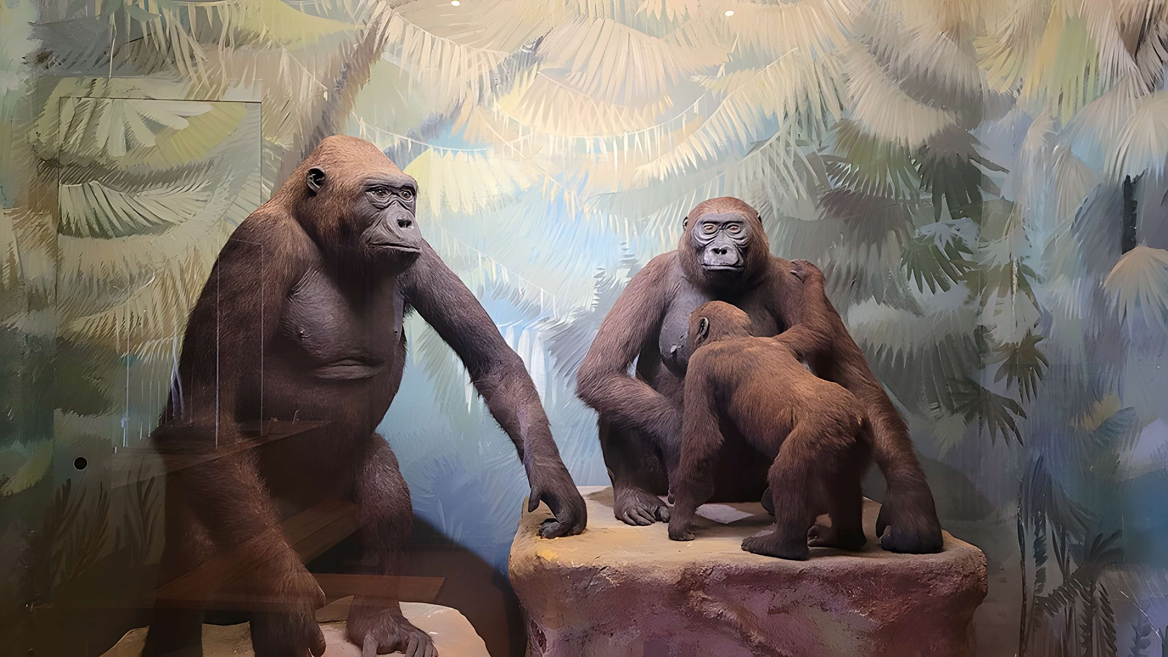 Musée napoléonien et musée africain (annexes du musée national des châteaux de Malmaison et de Bois Préau)