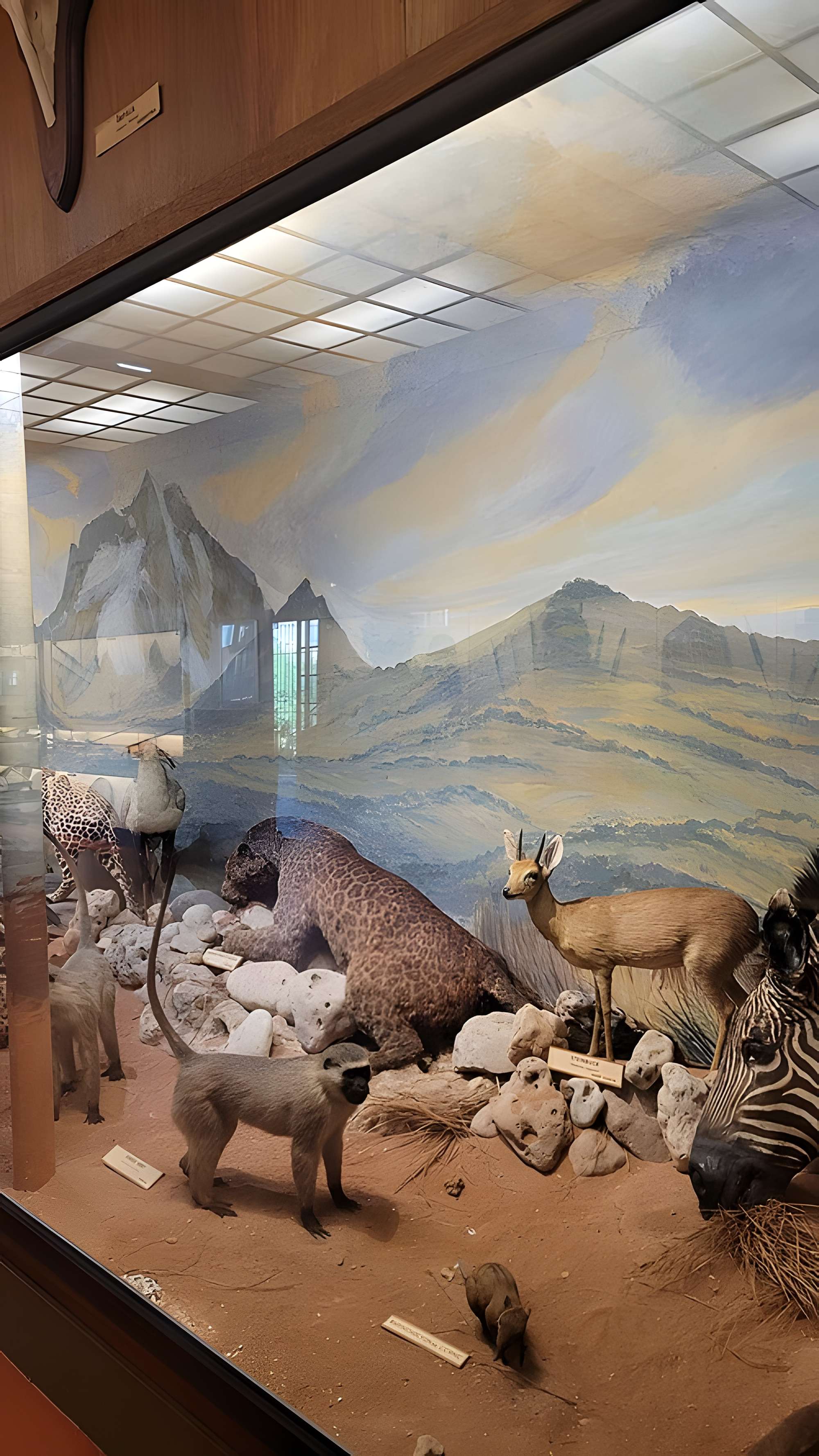 Musée napoléonien et musée africain (annexes du musée national des châteaux de Malmaison et de Bois Préau)