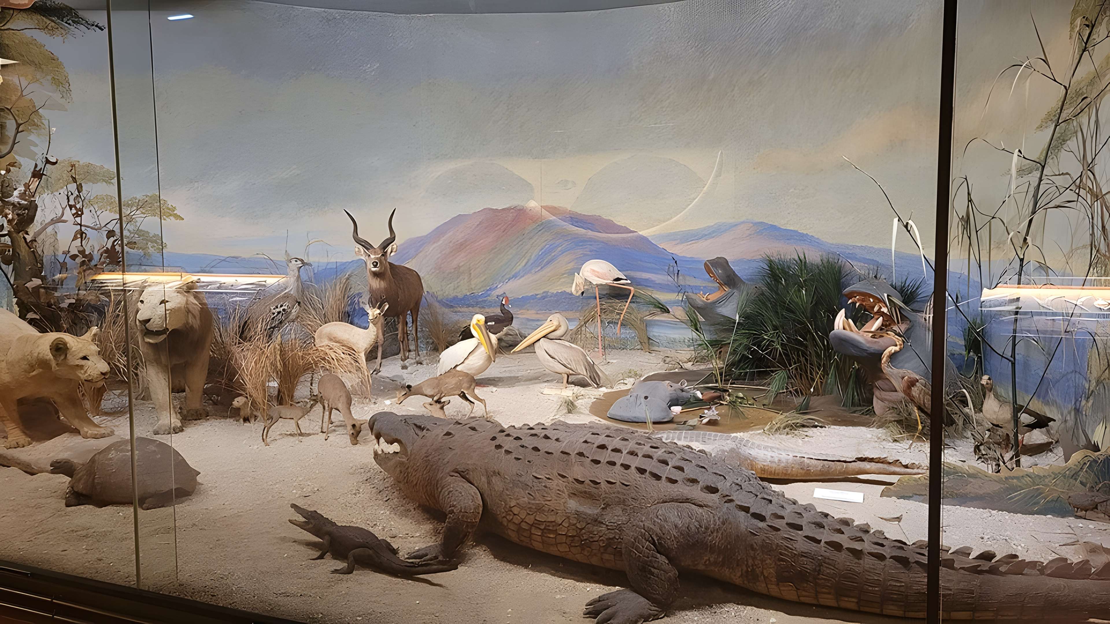 Musée napoléonien et musée africain (annexes du musée national des châteaux de Malmaison et de Bois Préau)