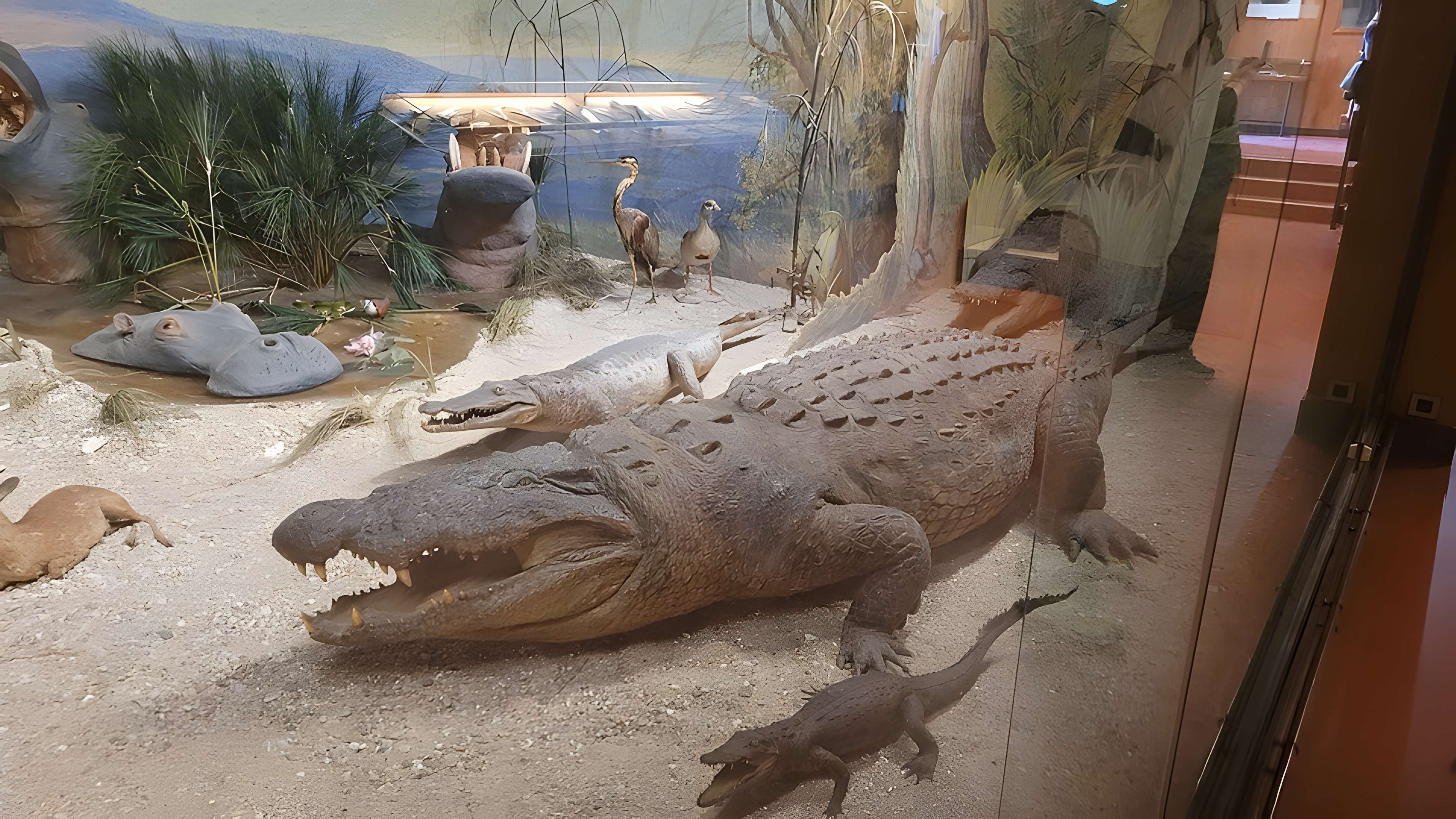 Musée napoléonien et musée africain (annexes du musée national des châteaux de Malmaison et de Bois Préau)