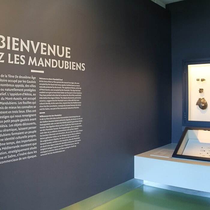 Photo de Musée Alésia - centre dinterprétation