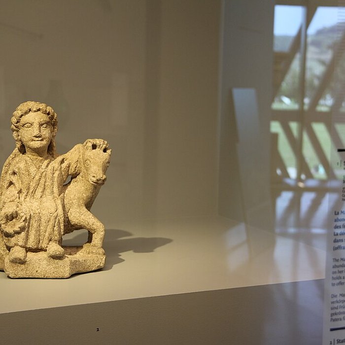 Photo de Musée Alésia - centre dinterprétation