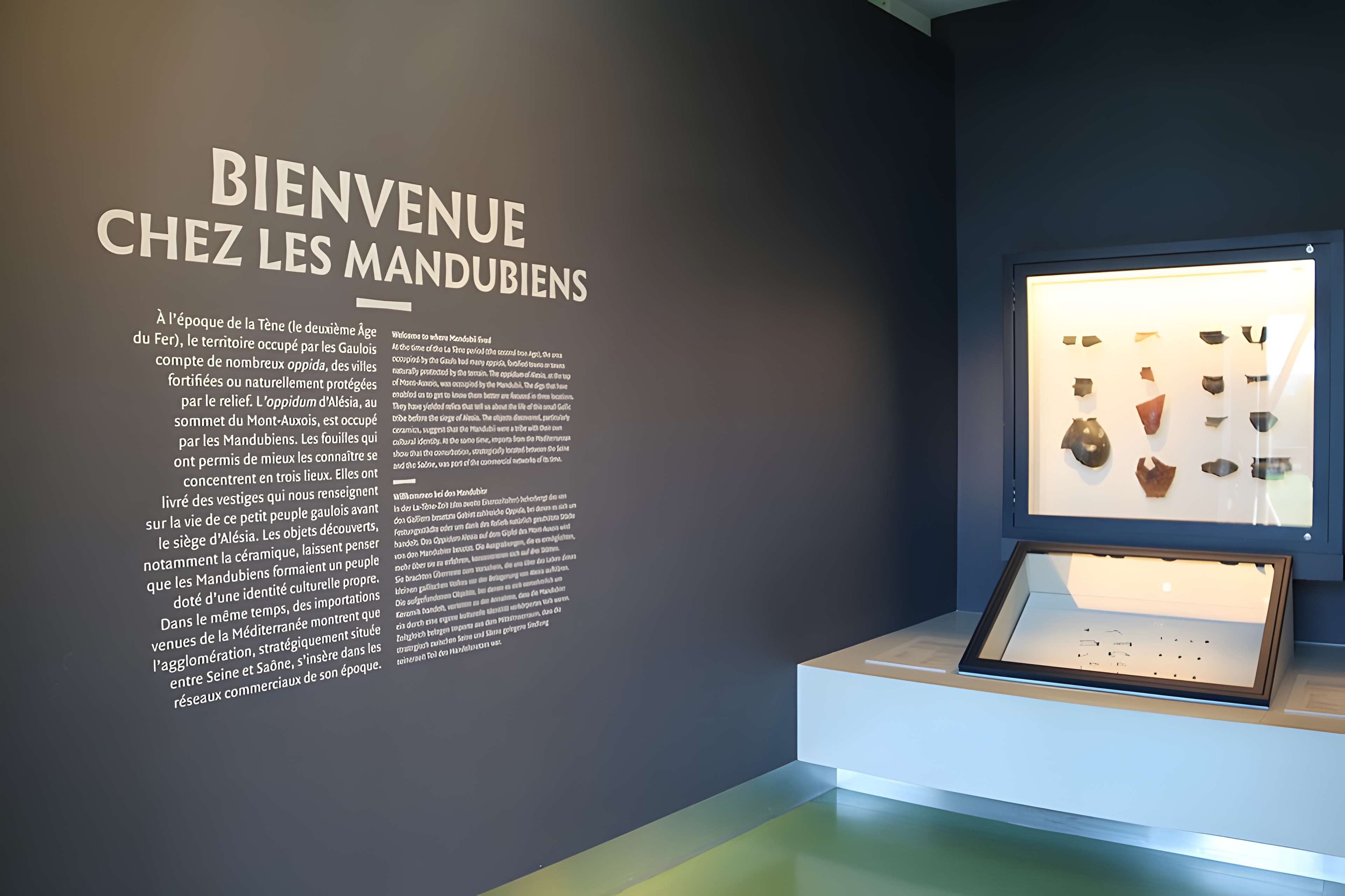 Musée Alésia - centre d'interprétation