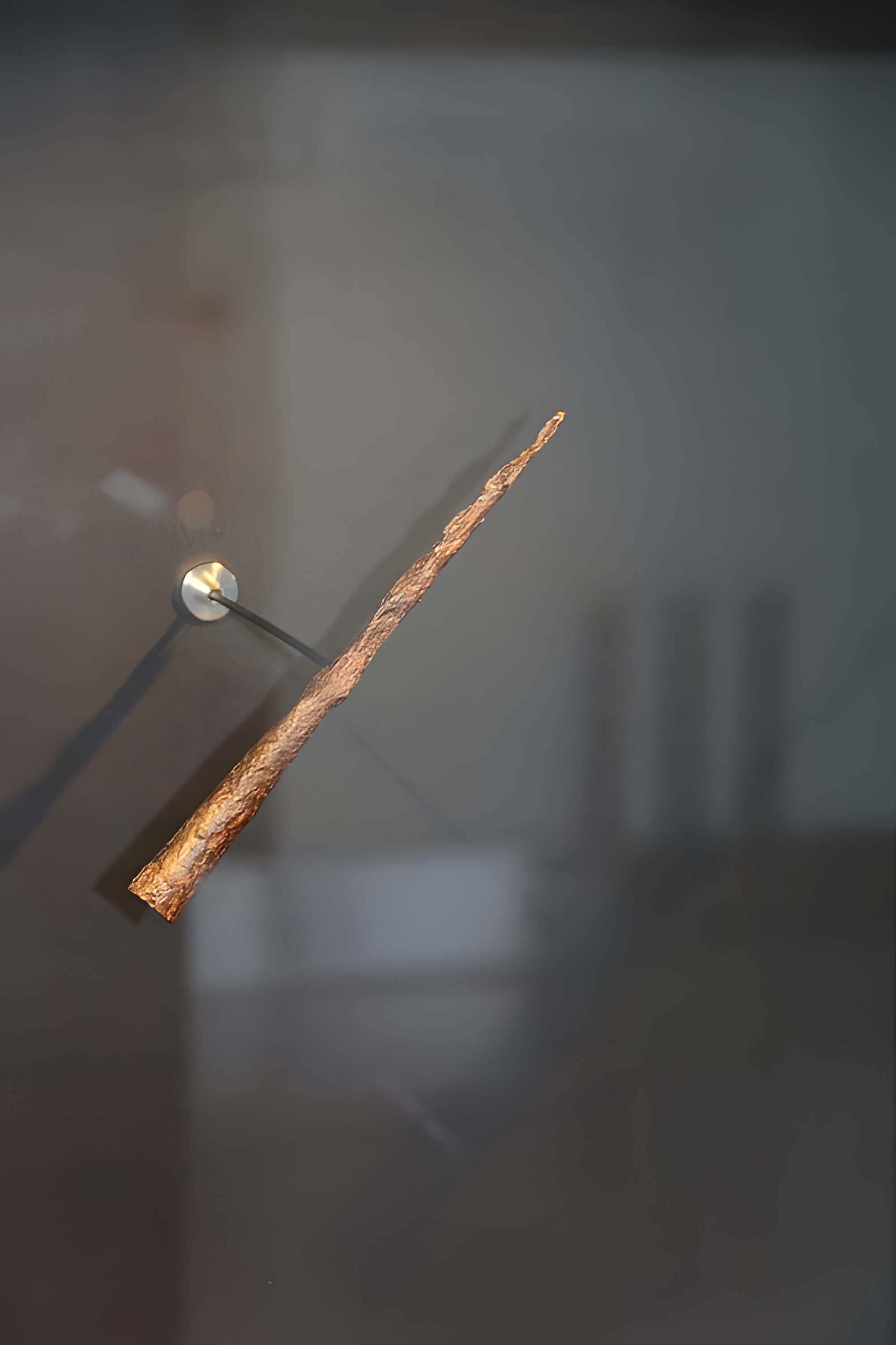 Musée Alésia - centre d'interprétation