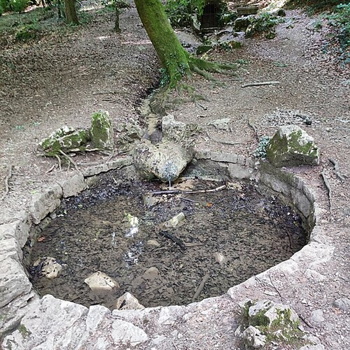 Photo de Musée Noisot