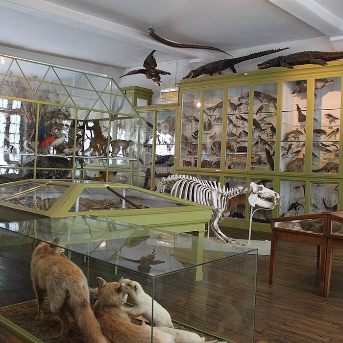 Photo de Musée dArt et dArchéologie