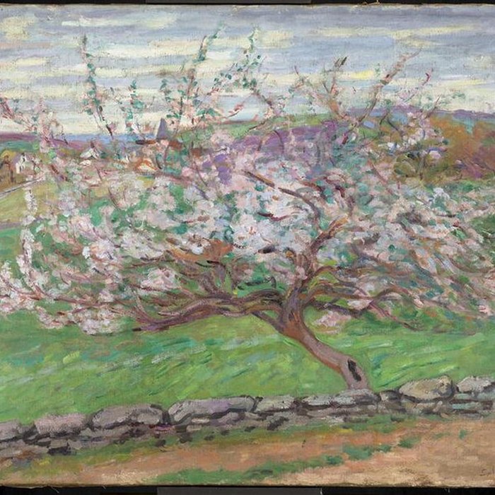 Photo de Musée dArt et dArchéologie