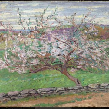 Musée dArt et dArchéologie