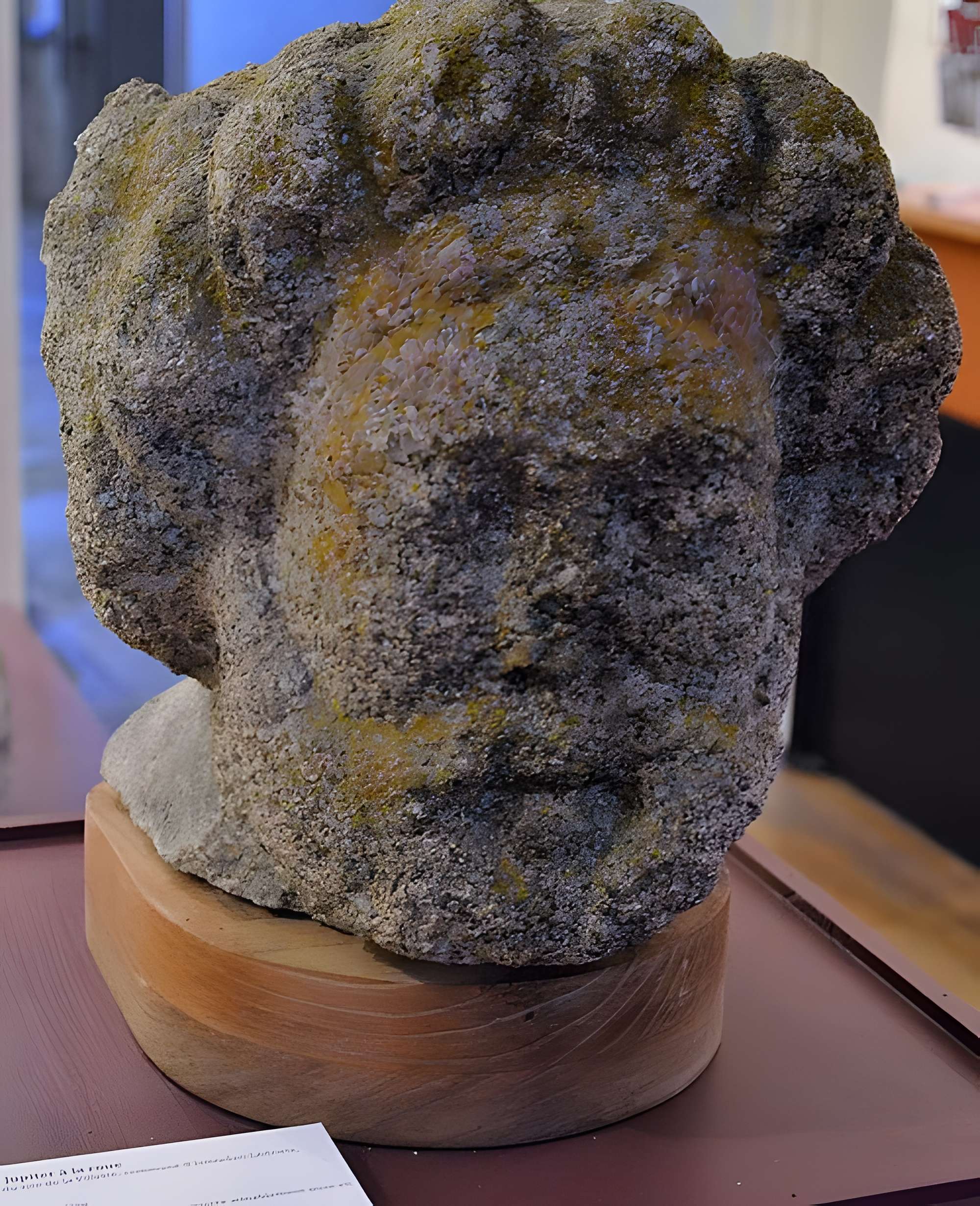 Musée d'Art et d'Archéologie