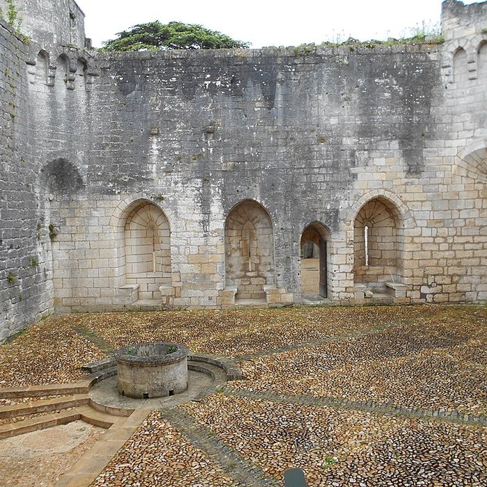 Photo de Château de Bourdeilles