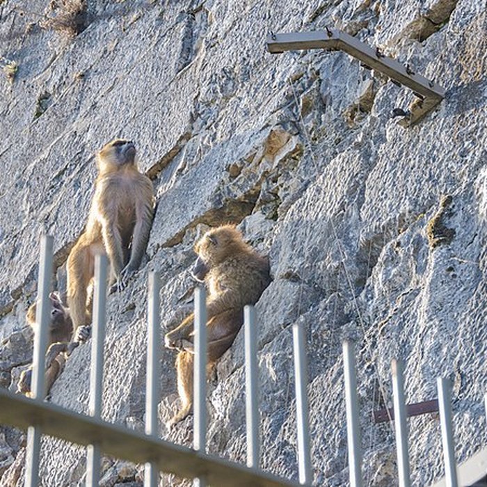 Photo de Muséum dhistoire naturelle