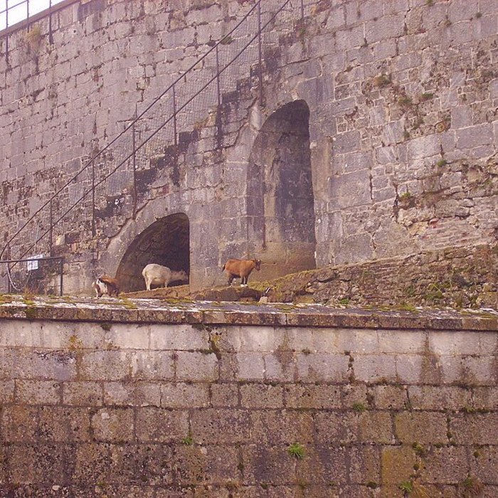 Photo de Muséum dhistoire naturelle