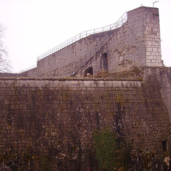 Photo de Muséum dhistoire naturelle