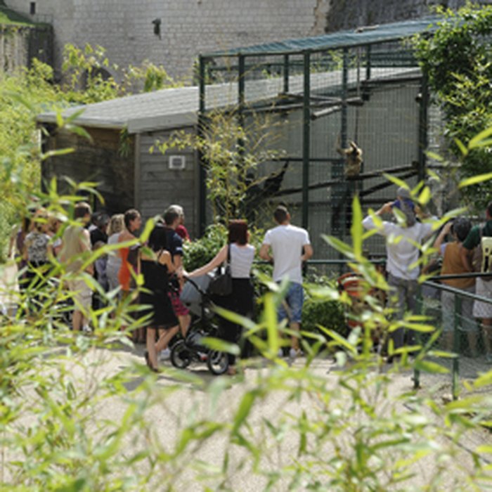 Photo de Muséum dhistoire naturelle