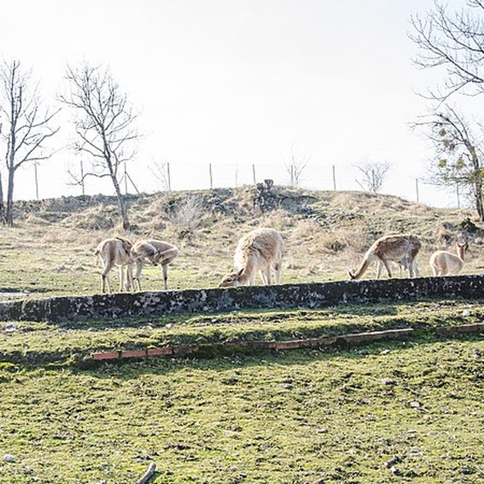 Photo de Muséum dhistoire naturelle