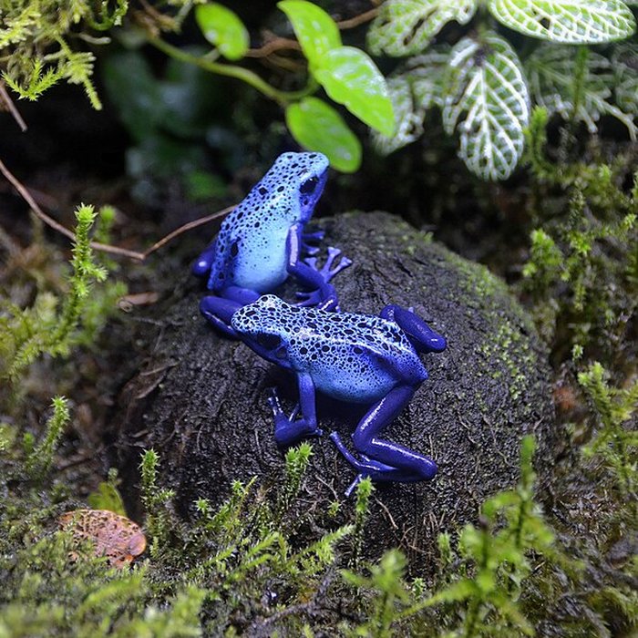 Photo de Muséum dhistoire naturelle