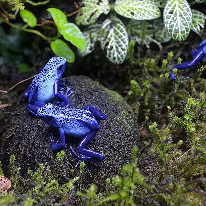 Photo de Muséum dhistoire naturelle