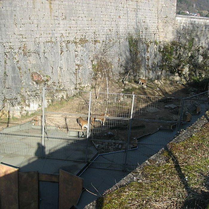 Photo de Muséum dhistoire naturelle