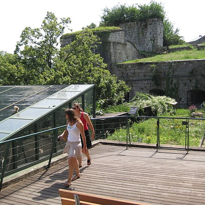 Photo de Muséum dhistoire naturelle