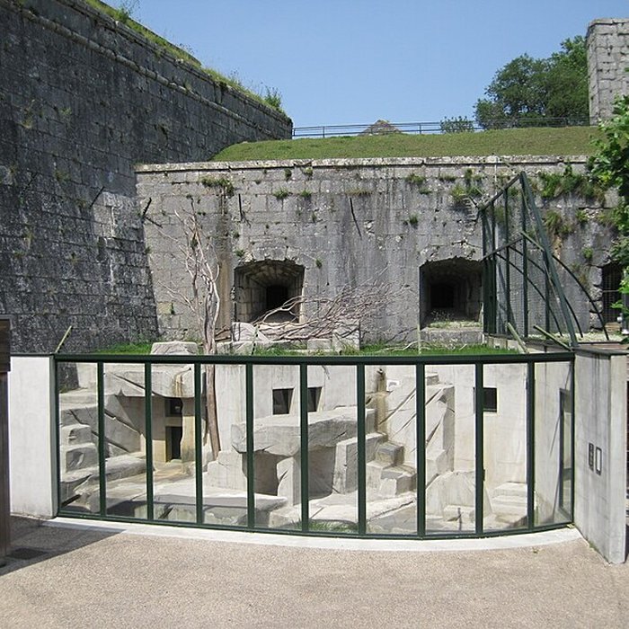 Photo de Muséum dhistoire naturelle