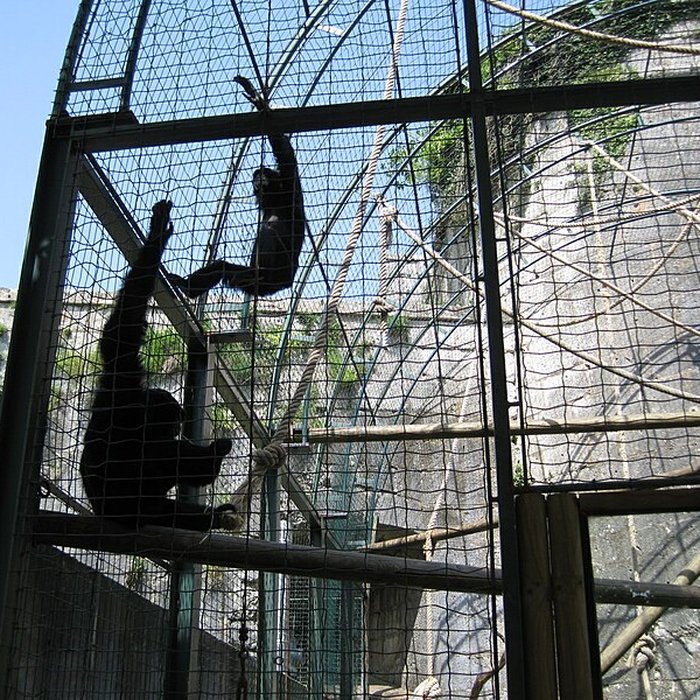 Photo de Muséum dhistoire naturelle