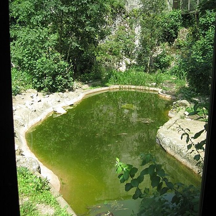 Photo de Muséum dhistoire naturelle