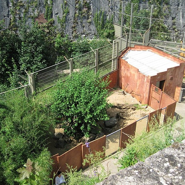 Photo de Muséum dhistoire naturelle