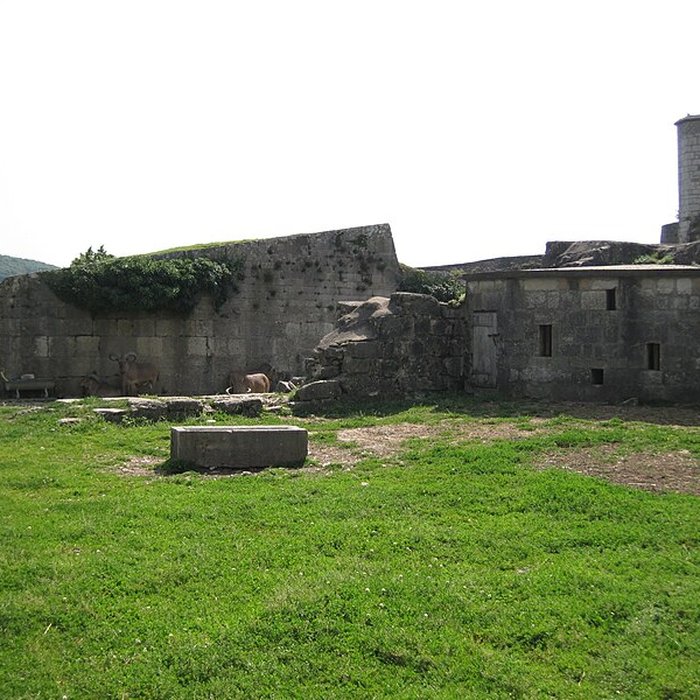 Photo de Muséum dhistoire naturelle