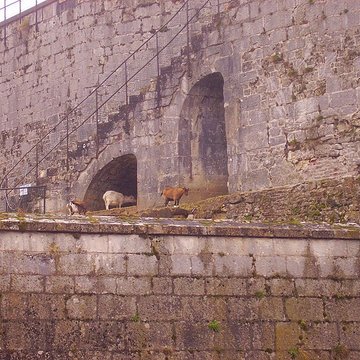 Muséum dhistoire naturelle