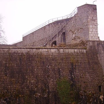 Muséum dhistoire naturelle
