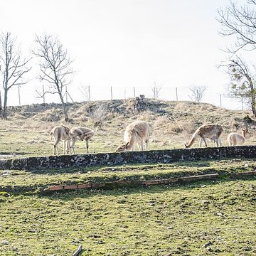 Muséum dhistoire naturelle