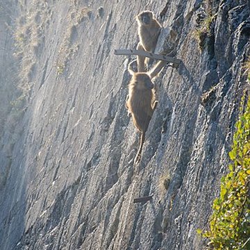 Muséum dhistoire naturelle