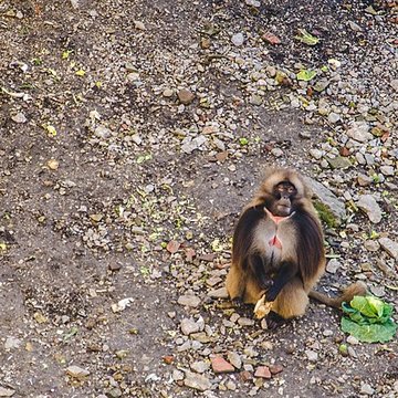 Muséum dhistoire naturelle