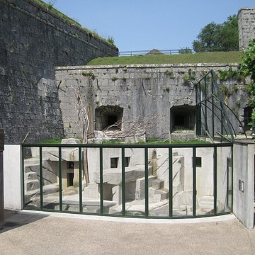 Muséum dhistoire naturelle