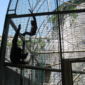 Muséum dhistoire naturelle