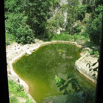 Muséum dhistoire naturelle