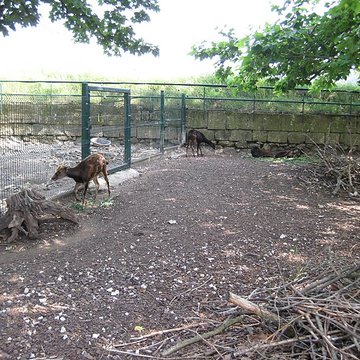 Muséum dhistoire naturelle