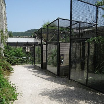 Muséum dhistoire naturelle