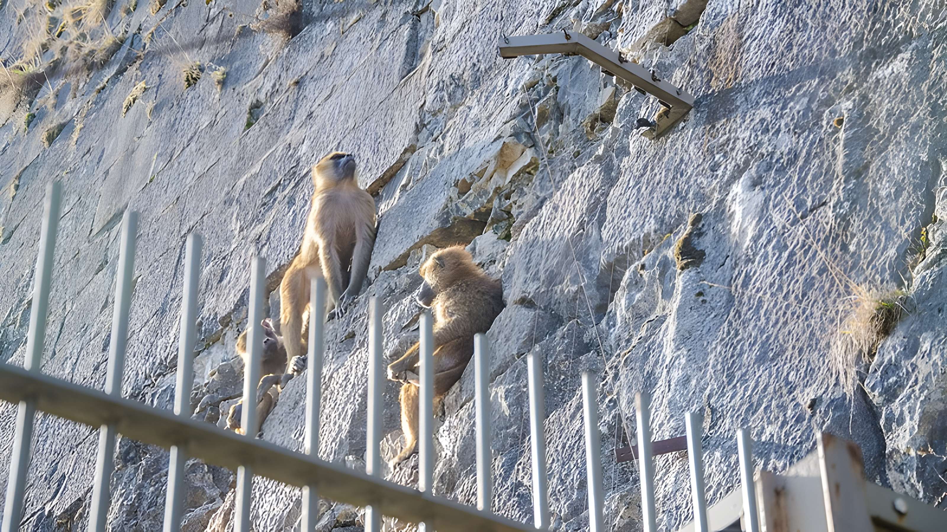 Muséum d'histoire naturelle